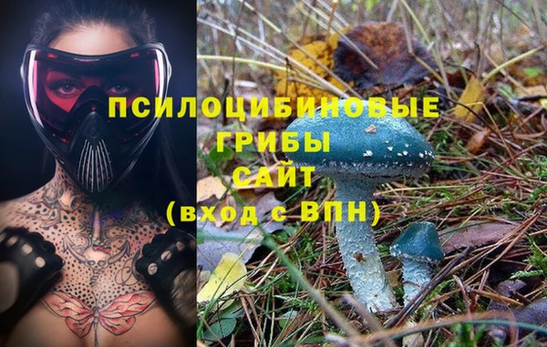 винт Наволоки