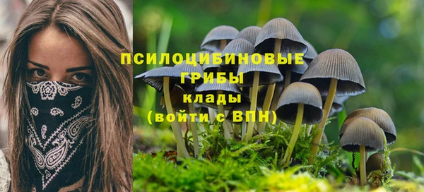 мяу мяу кристалл Надым