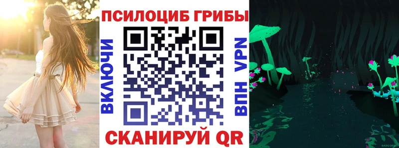 Псилоцибиновые грибы мицелий  Шилка 